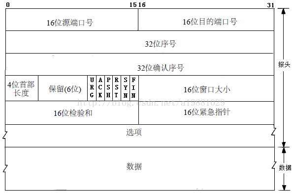 TCP报文格式