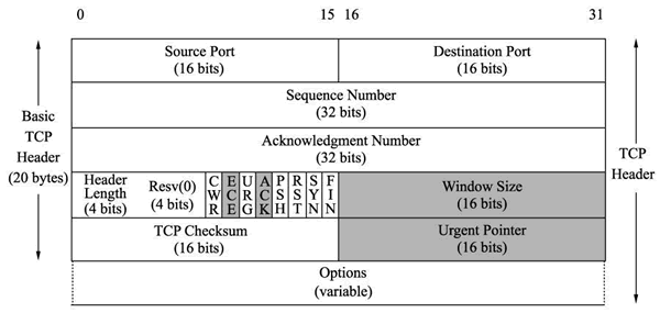 TCP报文格式